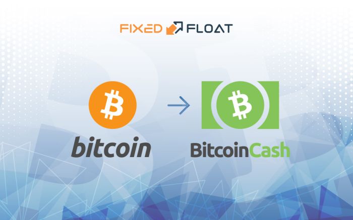 Câmbio Bitcoin por Bitcoin Cash